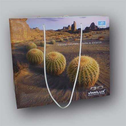 Borsa shopping con scena desertica e cactus rotondi. Logo