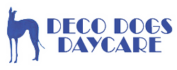 Dog Daycare Dover, NH; Durham, NH; Rochester, NH