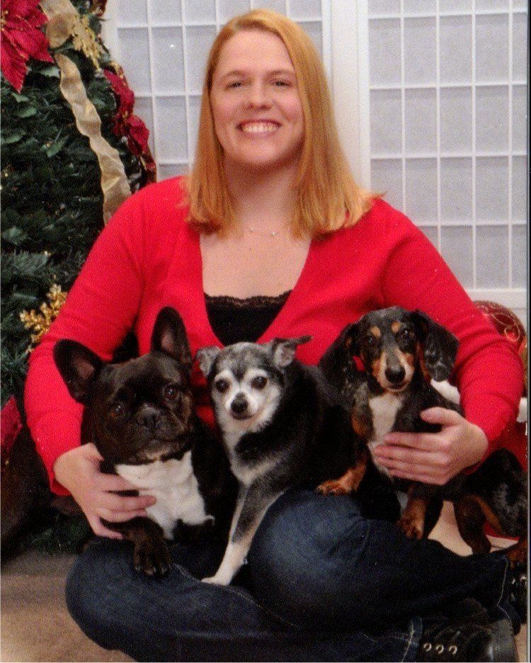 Dog Daycare Dover, NH; Durham, NH; Rochester, NH
