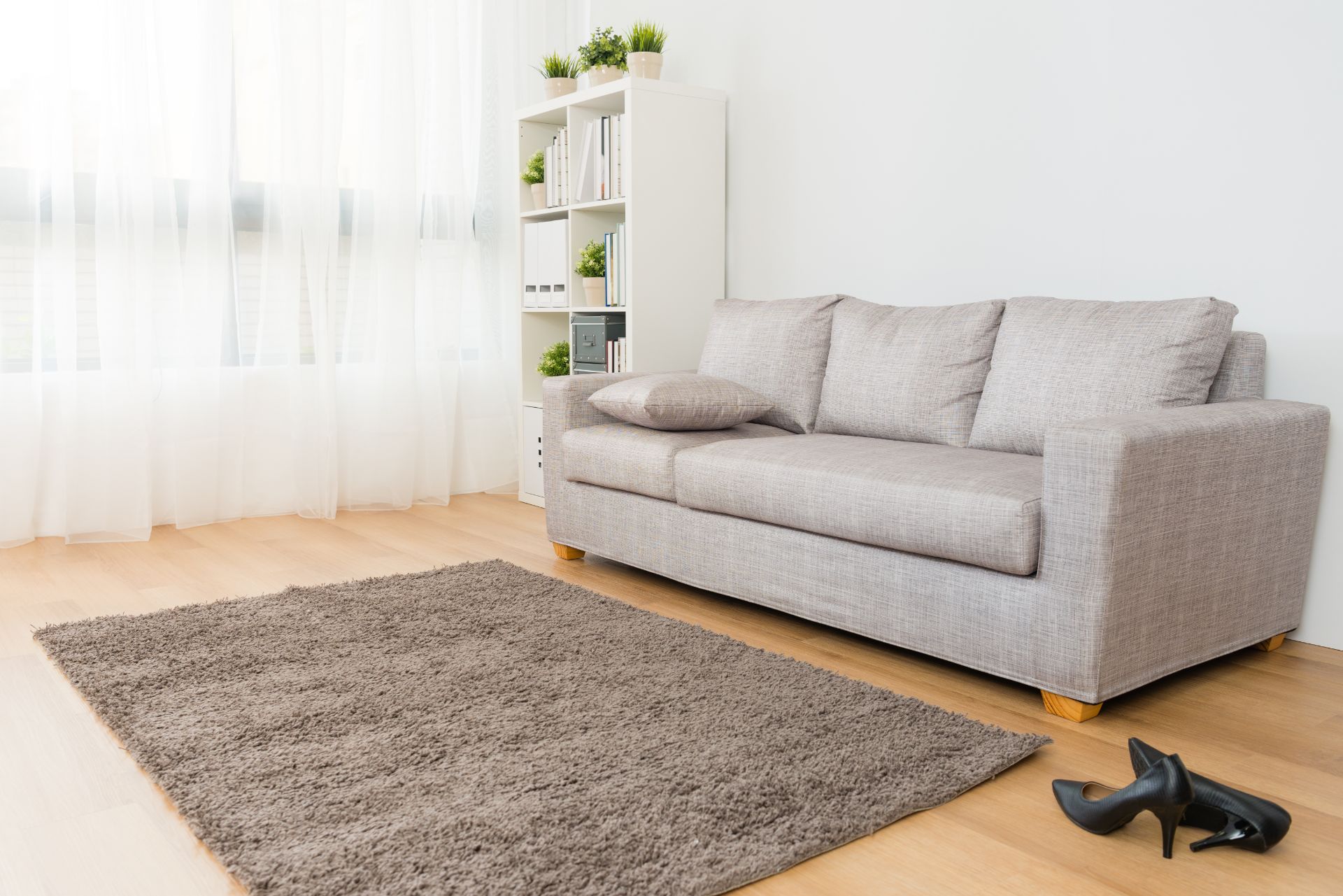 Living room with area rug