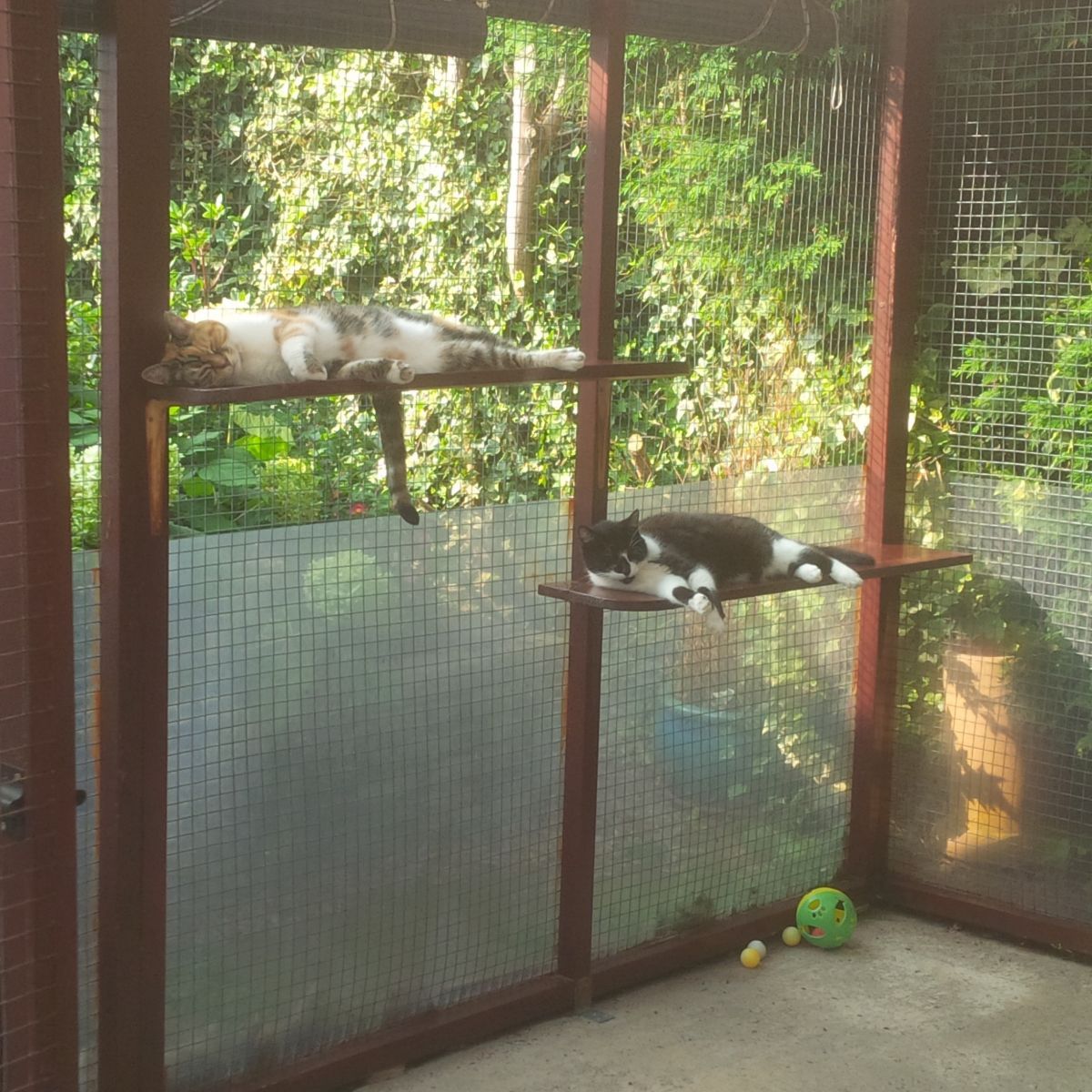 Cat house exterior