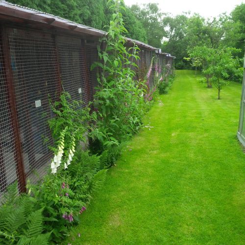Cat house exterior