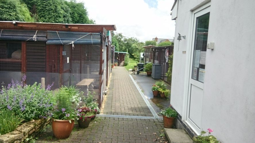 Cat house exterior