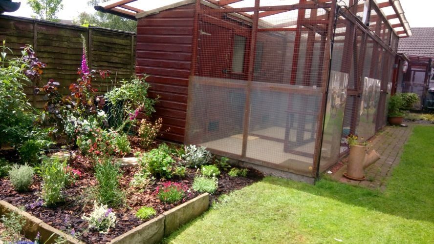 Cat house exterior