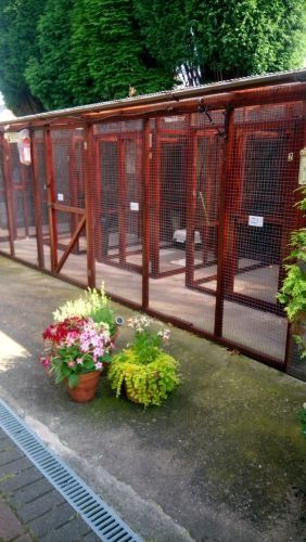 Cat house exterior