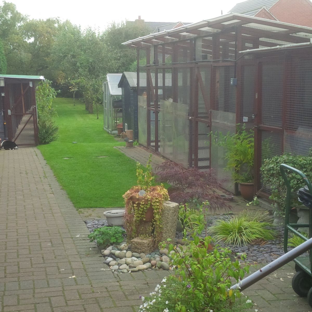 Cat house exterior