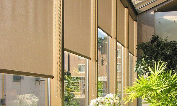 Blinds and shades