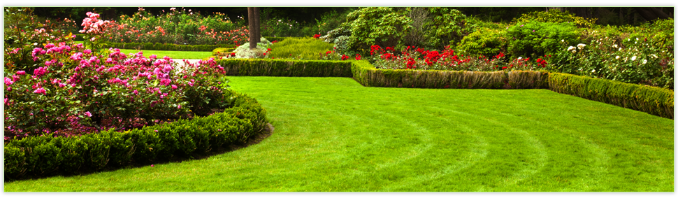 Garden services