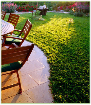 Garden maintenance