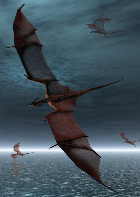 Connecting with Dragons