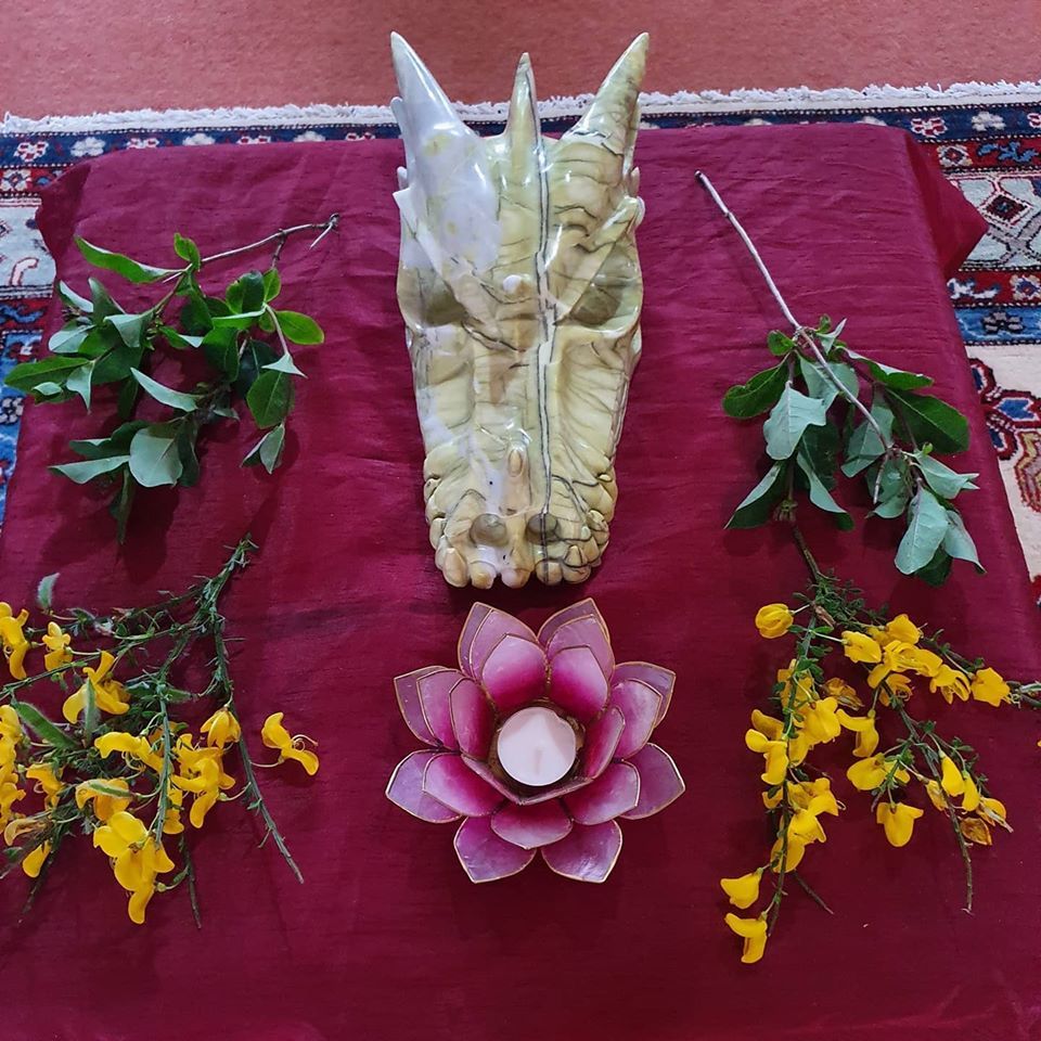 Dragon Skull Healings