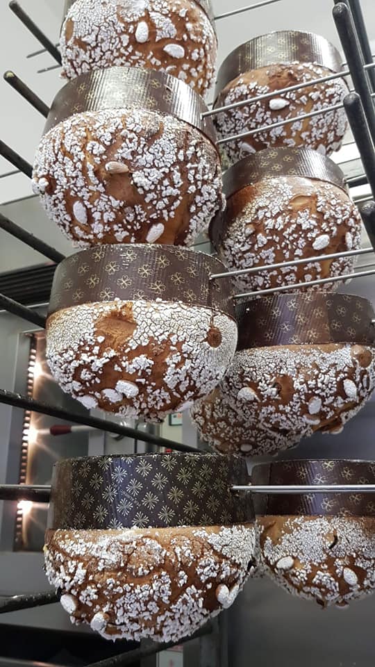 panettoni artigianali appena cotti