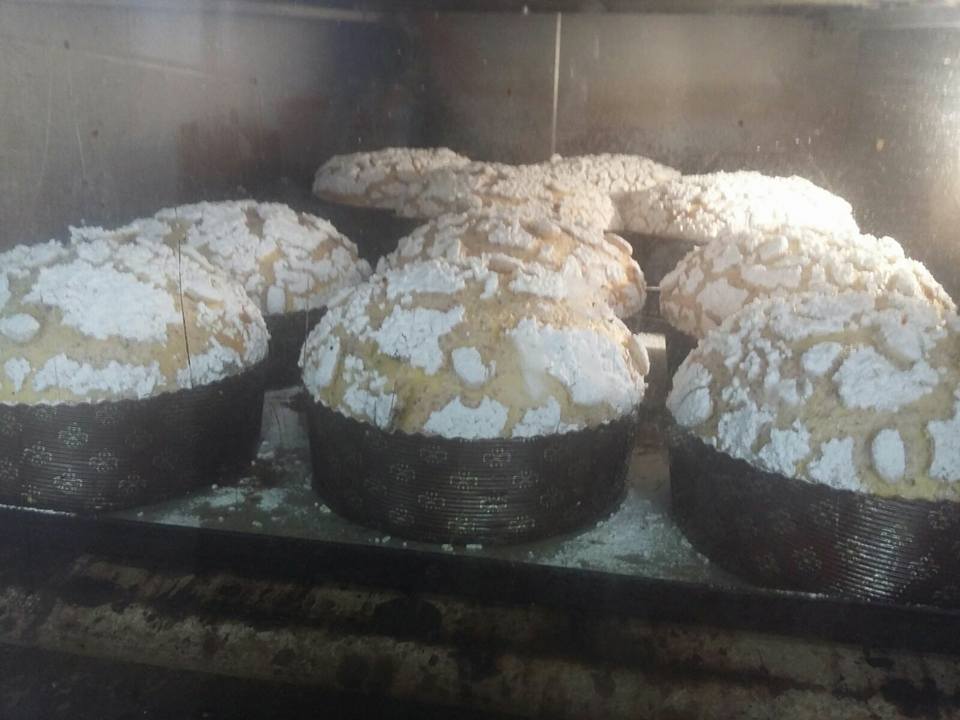 cottura panettoni artigianali