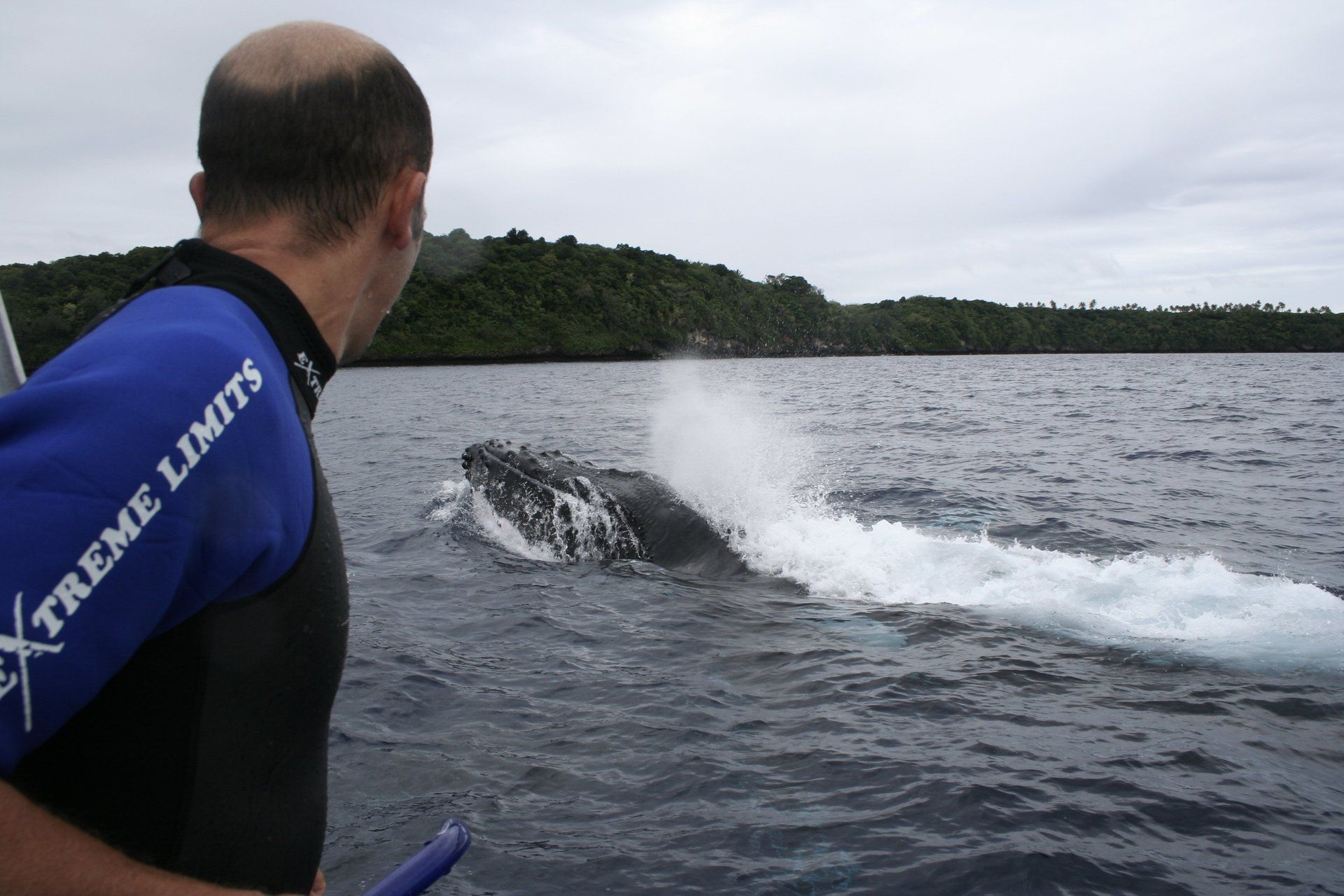 A passenger looking over at a whale surfacing from the boat