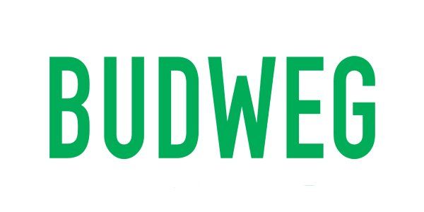 BUDWEG - brake calipers, repair kit