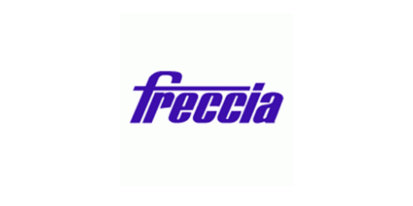 APE MOTORS -valves, guides, camshafts, rocker arms - freccia