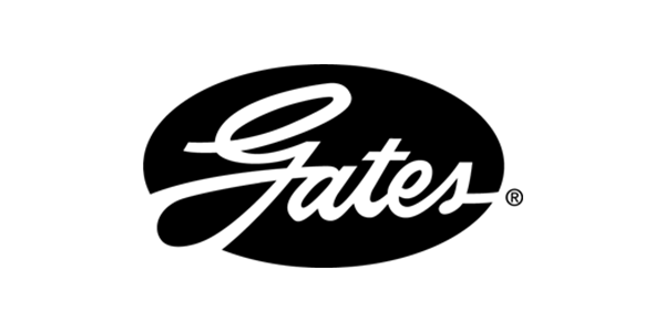 APE MOTORS - timing mechanism kits -Gates