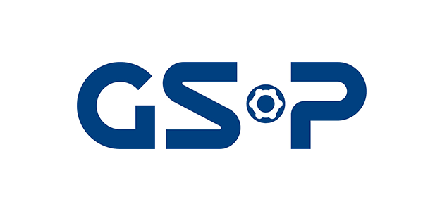 APE MOTORS - wheel bearings - GSP