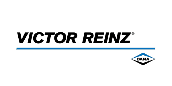 APE MOTORS -head bolts - VICTOR REINZ