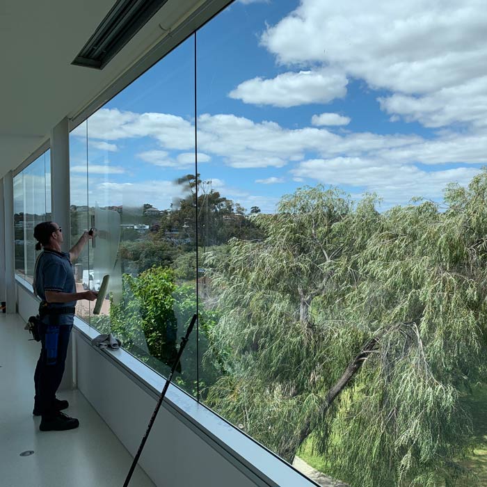 residential window cleaner