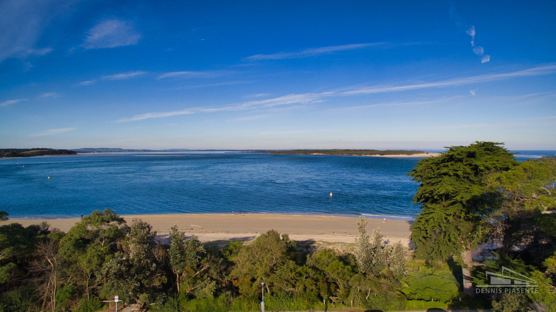 An aerial view of a beach surrounded by trees and a body of water.