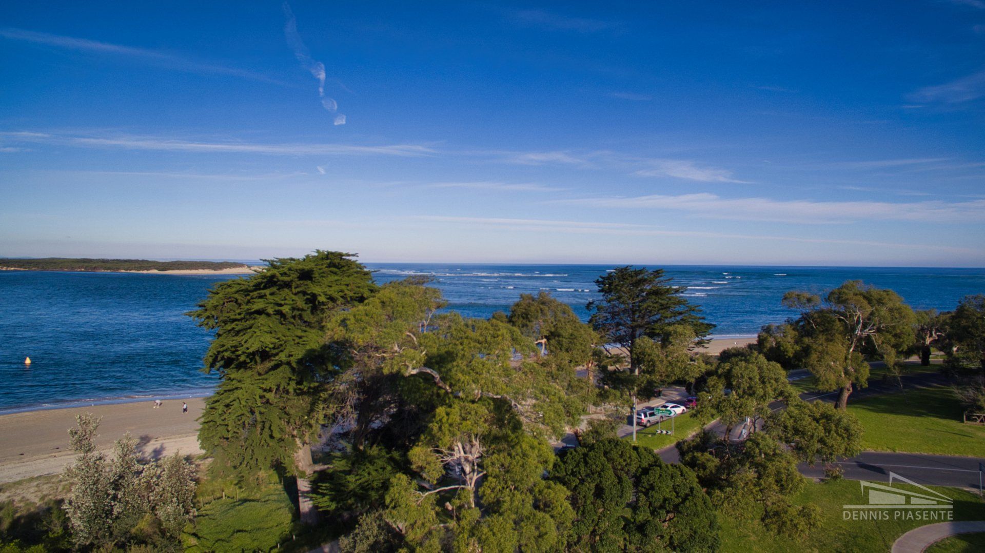 An aerial view of a beach with trees and a body of water.