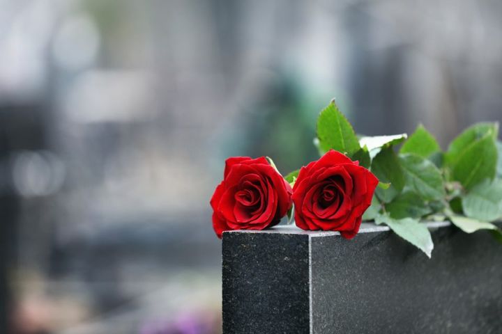 fiori posti sopra una lapide