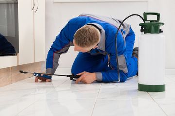 Spraying Pesticide On Cabinet — Prince George, VA — Houchins Pest Control Service Spraying Pesticide On Cabinet — Prince George, VA — Houchins Pest Control Service