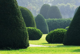 Landscaping
