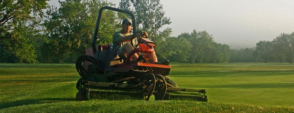 Professional ground maintenance