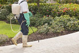 Commercial chemical spraying