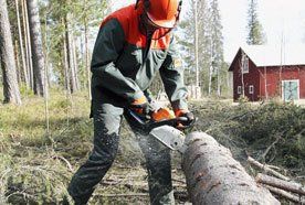 Tree work and stump grinding