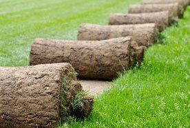 New lawns prepared and laid