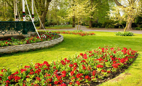 Qualified gardeners