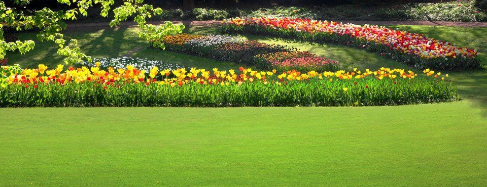 soft landscaping design