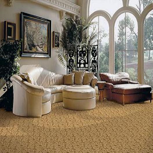 elegant living room carpet installation