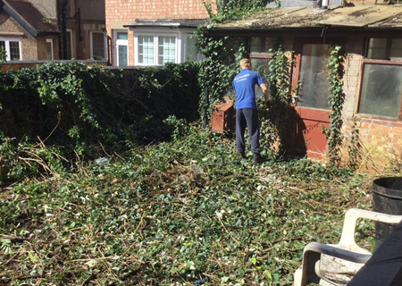 garden clearance services