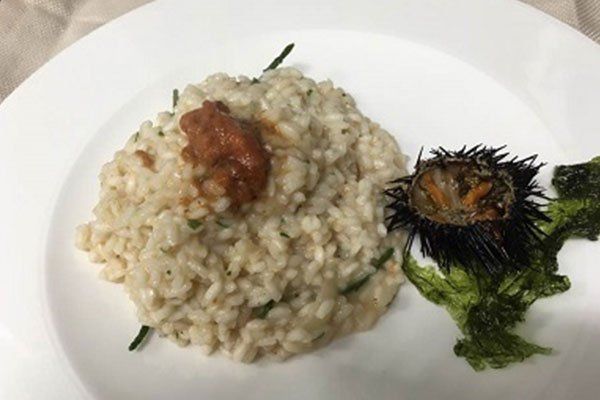 un piatto di risotto al riccio di mare