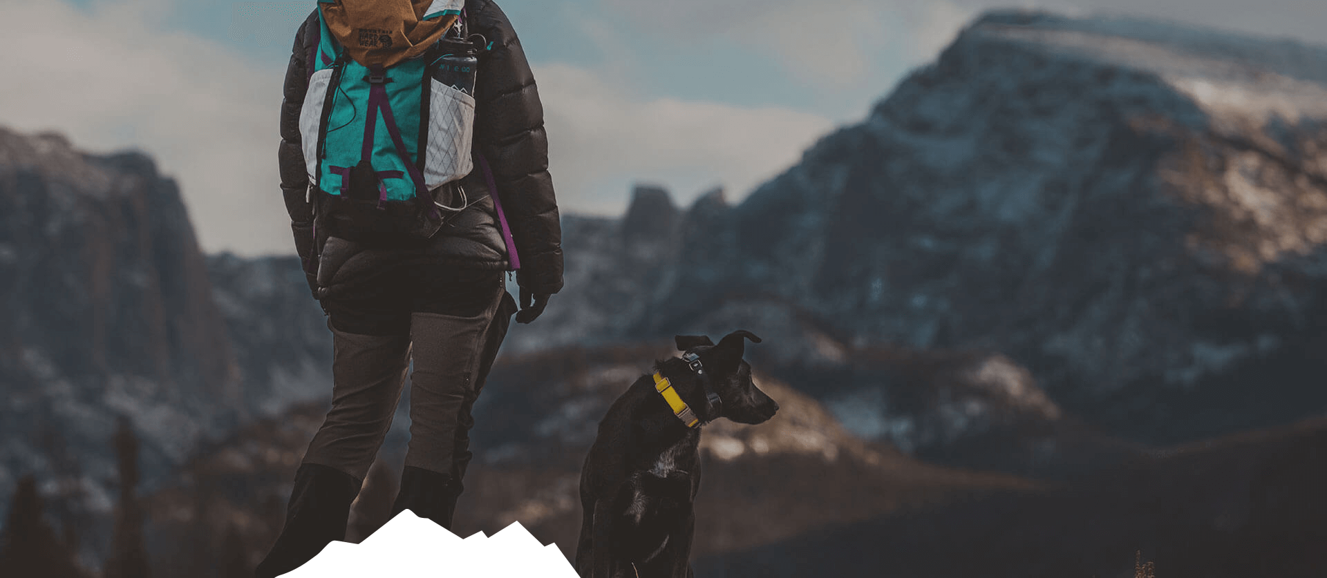 Dog Hiking by Denver Dog Hikers