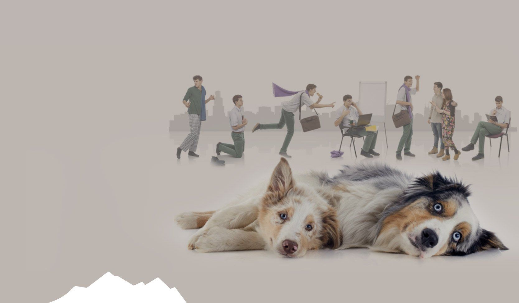 Dog lying down, people in background; a visual contrast of work and leisure.