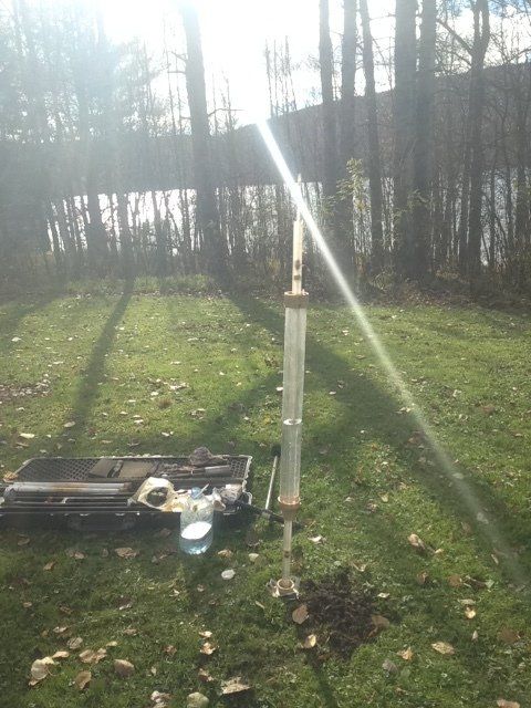 The sun is shining through the trees in the background