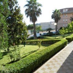 area verde con palme e siepi