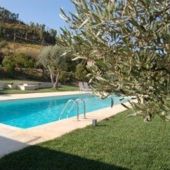 giardino con prato, ulivi e piscina