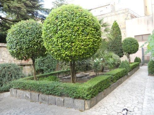 area verde con siepi e alberi decorativi