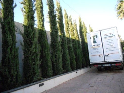 camion di azienda di giardinaggio