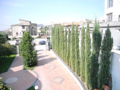 area esterna con alberi decorativi ad alto fusto