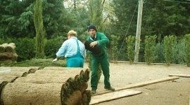 posa prato in rotoli