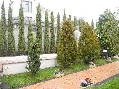 realizzazione giardino