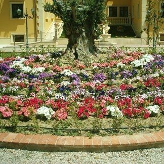 verde in villa