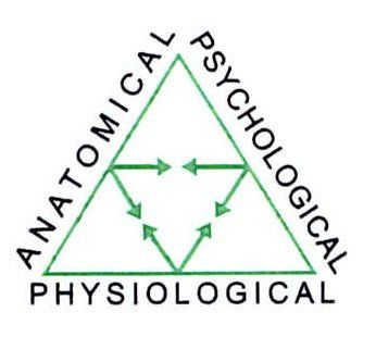 Anatomical physiologial psychological Anatomical physiologial psychological